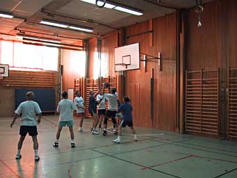 image/heidenstambasket.jpg, 13,9K